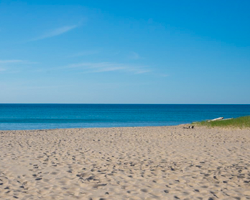 Beach Area
