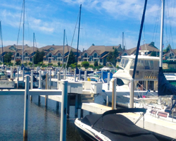 Harbor Area